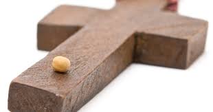 They grow into something much bigger than what they started. The Deeper Meaning Of How Faith Is Like A Mustard Seed