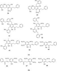 Image result for Uvaria tanzaniae