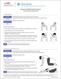 Enough strain can lead to a tear or other damage. Spine Rehabilitation Exercises Orthoinfo Aaos
