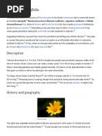 Image result for Englerina oedostemon