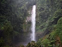 Check spelling or type a new query. Pembukaan Wisata Curug Di Bogor Diuji Coba Pengunjung Dilarang Berenang News Liputan6 Com