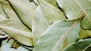 Daun penyedap masakan daundaunan penyedap masakan itu nggak cuma daun salam sama daun kemangi doang! 10 Jenis Dedaunan Aromatik Yang Sering Digunakan Untuk Masakan Kumparan Com