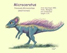 Image result for Micractis