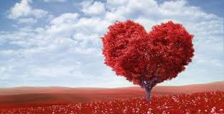 Aimer et être aimé par la bonne personne peut vous faire changer d'avis sur l'amour. Citation Amour 3000 Citations D Amour Et Proverbes Sur L Amour