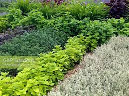 Be mindful that the planter does not have a drain hole, and if the reservoir floods it may drown the roots. A Modern Herb Garden Stock Photo By Nicola Stocken Image 0483513