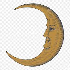 Hand Drawn Crescent Moon With Face Design Element Free Image By Rawpixel Com Hein Crescent Moon Art Vintage Moon Moon Icon