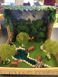 Deciduous Forest Biome Rainforest Project Rainforest Habitat Ecosystems Projects
