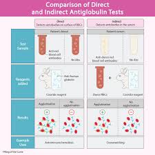 Image result for Direct Coombs
