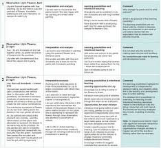 Teachingmadeeasy Meaningful Observations Examples Of Documented Observations Intentional Teaching Observation Examples Learning Stories Examples