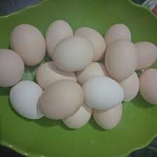 Usahakan air rebusan cukup untuk menutupi seluruh permukaan telur. Telur Ayam Kampung Murah Home Facebook