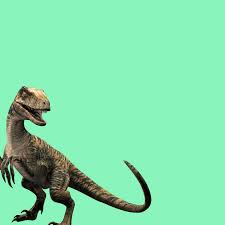 Image result for Ludia