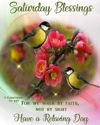 So, without wasting more time. 50 Good Morning Happy Saturday Quotes Weekend Images Gif Blessings To Share