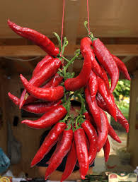 Great for soups, stews, goulash. Hungarian Paprika Kalocsai Paprika 1 Lb Hungarian Meat Market