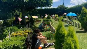 Trova gli orari di apertura e di chiusura per gli amici di snoopy a v. Il Riposo Di Snoopy Cimitero E Cremazione Per Animali Baiano Campania Facebook