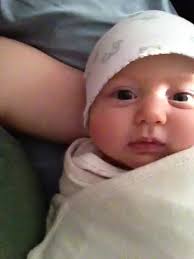 Fwd: Lily video morning daddy