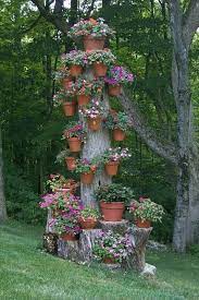 There are 41 tree stump cover for sale on etsy, and they cost $37.08 on average. 10 Amazing Tree Stump Ideas For The Garden Balcony Garden Web
