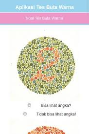 Download now bisakah kamu menyelesaikan tes buta warna ini. Tes Buta Warna For Android Apk Download