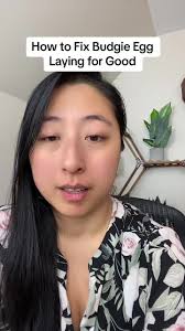 The science is all there. Budgie egg laying can be solved and the key ...