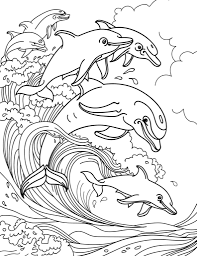 All you need is photoshop (or similar), a good photo, and a couple of minutes. Free Dolphin Coloring Pages For Download Printable Pdf Verbnow