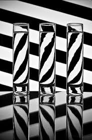 Black And White Abstract Photography Zebra Water Splash Black White Photos Black And White Black N White Images