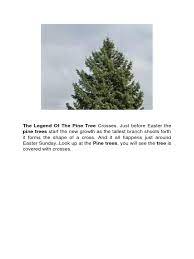 Claim this listing for free. The Legend Of The Pine Tree Crosses Plants Foods