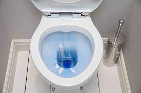 How To Clean A Toilet Toilet Cleaning Cleanipedia Au