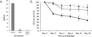 Every day is the same. Gene Expression In Tribolium Castaneum Life Stages Identifying A Species Specific Target For Pest Control Applications Peerj