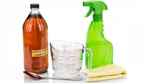 You can spray your shoes and legs before going for a hike and is perfect to take on your summer camping trips. Homemade Apple Cider Vinegar Flea Tick Remedy For Dogs And Cats Dogtime