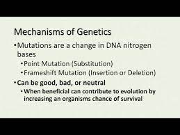 Check spelling or type a new query. Biology Eoc Practice Test 2019 08 2021
