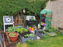 For more information on starting a vegie patch from scratch read the article here. The Top 80 Vegetable Garden Ideas