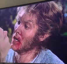 Steve's a werewolf, but he's my guy… He's different from the rest, I don't  know why.