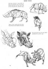 The Art Of Animal Drawing Construction Action Analysis Caricature Dover Art Instruction By Ken Hultgren Free Downloa Animal Drawings Animal Art Drawings