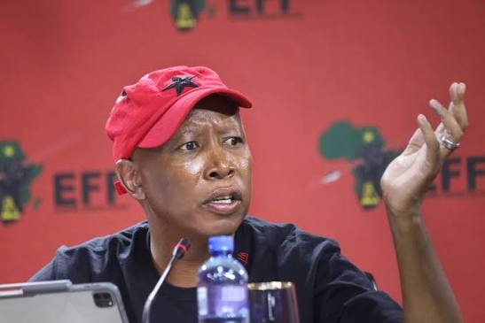 Julius Malema criticises Nhlanhla Mkhwanazi: 'I am not scared of you'