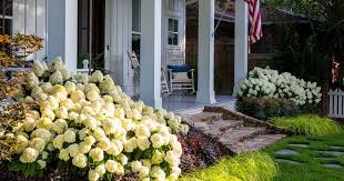 This Summer Take It Easy With White Wedding Hydrangea Planting Hydrangeas Landscaping With Rocks Southern Living Plants