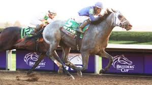 Experience the excitement of the 2021 kentucky derby at churchill downs to be held on saturday, may 1st by wagering online with twinspires! Kentucky Derby 2021 Best Bet Essential Quality Horse Racing News