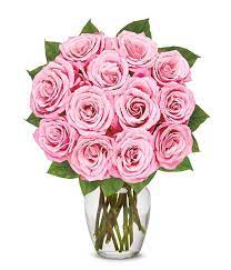 Check spelling or type a new query. One Dozen Light Pink Roses At From You Flowers