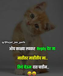 When a man is fortunate enough to have several, he finds they are all different. Cat Quotes Funny Marathi
