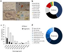 Biological contamination occurs when food becomes contaminated by living organisms or the substances they produce. Microplastics In Marine Mammals Stranded Around The British Coast Ubiquitous But Transitory Scientific Reports