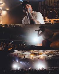 Tom Hedge (@tommybouquet) • Instagram photos and videos