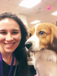 I Went to the Westminster Dog Show for the First Time