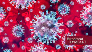 Hier finden sie alle news zum coronavirus in hamburg. Bundesratkompakt Corona Epidemie Bundesrat