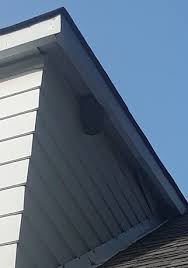 Starting spray has ether in it.instant death for wasps. Do Hornets Return To The Same Nest After Winter Each Year Biology Stack Exchange