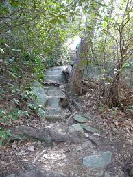 This One Hike In South Carolina Will Make You Feel Like A Hero Beginner Hiker Hiking The Great Outdoors