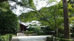 吉他詩人 施夢濤老師 古典吉他教學 日本風情畫 7永遠不要太相信專家的話 雖然我們不是愛因斯坦 那怕蓋在山頂上的清水寺 別說電動車 連大 tree plants tree trunk