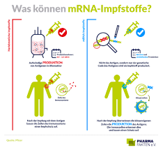 Hiervon wird eine sehr geringe menge dem menschen in den muskel injiziert. Mrna Impfstoffe Der Biologie Auf Die Sprunge Helfen