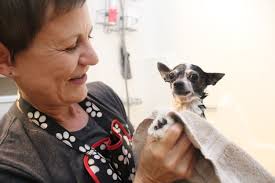 Frosted Faces 16 — Frosted Faces Foundation