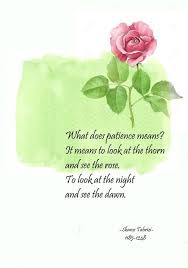 Terracemuse To Look At The Thorn And See The Rose Shams Tabrizi 1185 1248 Shams Tabrizi Quotes Shams Tabrizi Perspective Quotes
