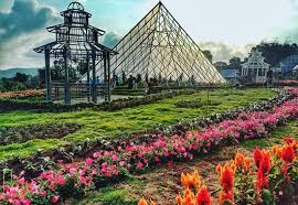Pada zaman baekje, sebuah taman bunga teratai digali di sebelah selatan istana dan. Liburan Ke Taman Bunga Celosia Suasananya Kayak Di Paris Loh Okezone Travel