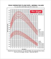 Peak Flow Chart Templates 7 Free Pdf Documents Download