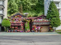 We offer same day delivery for fresh flowers and green plants monday through saturday to bothell, federal way, kent and numerous other cities. West Seattle S Flower Houses Real Estate Galsreal Estate Gals